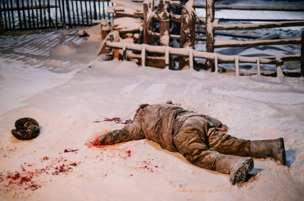 Beshenstvo (2023) - photo 4