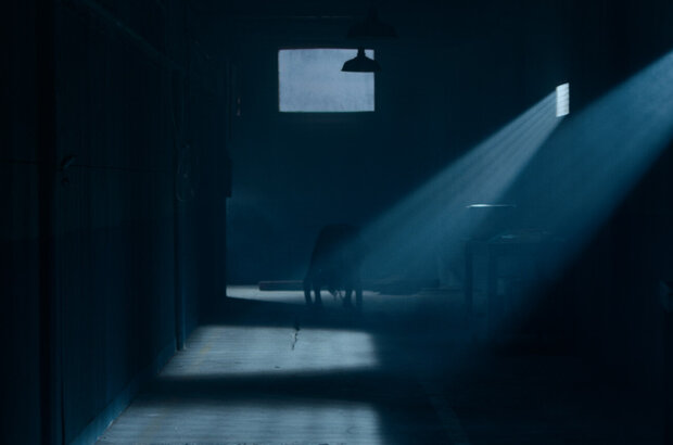 The Exorcism of God (2021) - photo 3