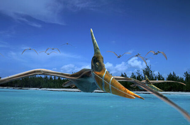 Чудища морей 3D (2007) - фото 5