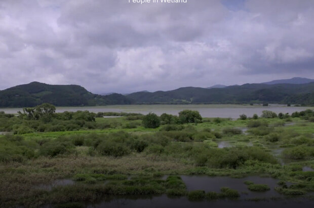 People in Wetland (2014) - photo 4
