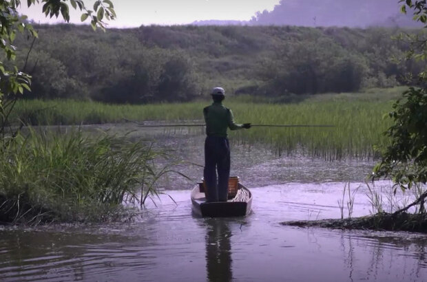 People in Wetland (2014) - photo 5