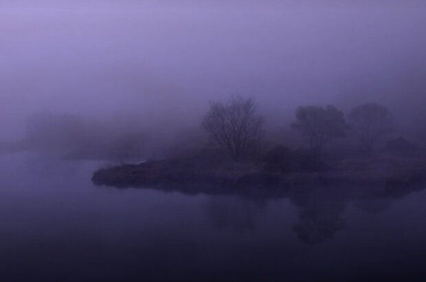 People in Wetland (2014) - photo 8
