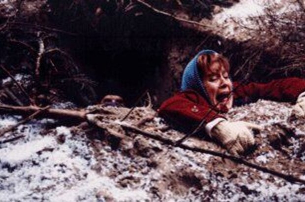 Северяне (1992) - фото 2