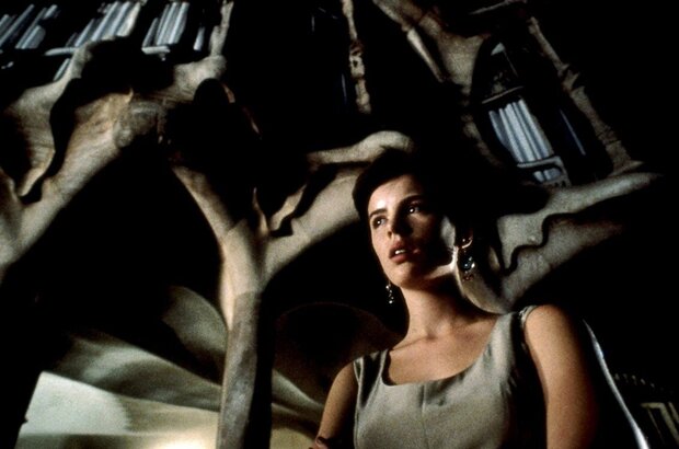 Фламандская доска (1994) - фото 4