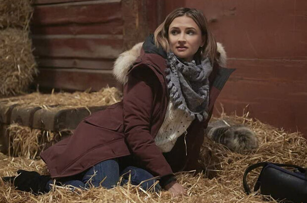 Cross Country Christmas (2020) - photo 5