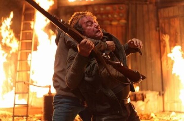 Грибы 3D (2011) - фото 2