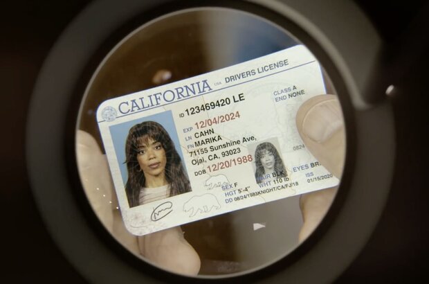 Psych 3: This Is Gus (2021) - photo 3