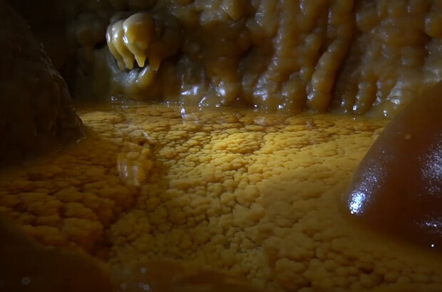Охотники за глубиной (2021) - photo 7