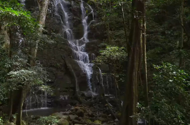 Flavors of costa rica (2018) - photo 6