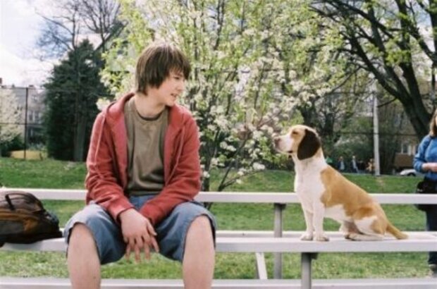 Underdog (2007) - photo 3