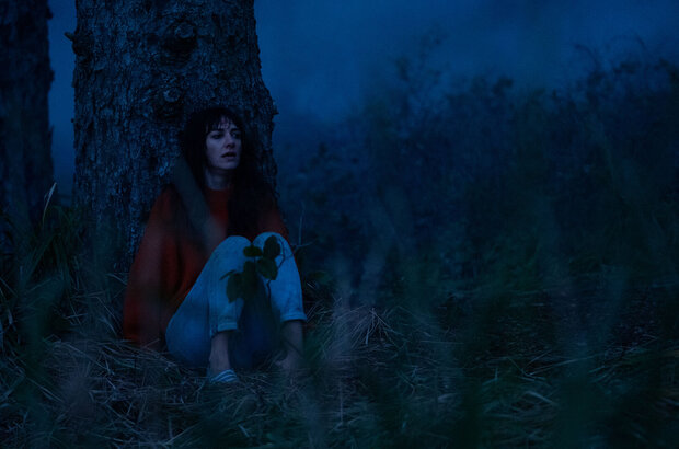 The Rental (2020) - photo 15