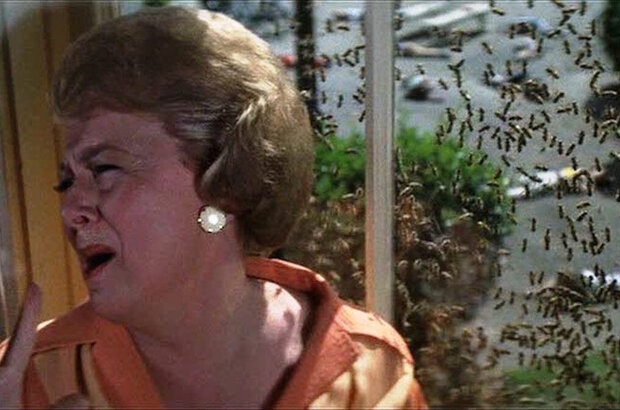 The Swarm (1978) - photo 1