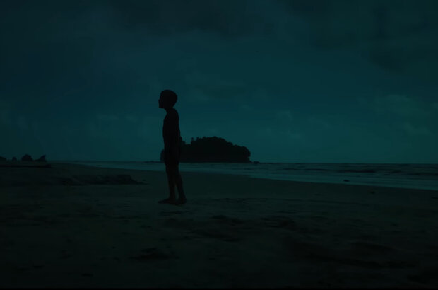 Phoenix (2023) - photo 1