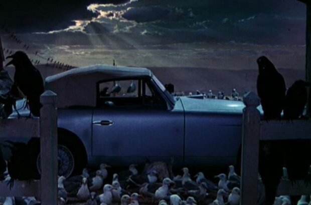 The Birds (1963) - photo 2