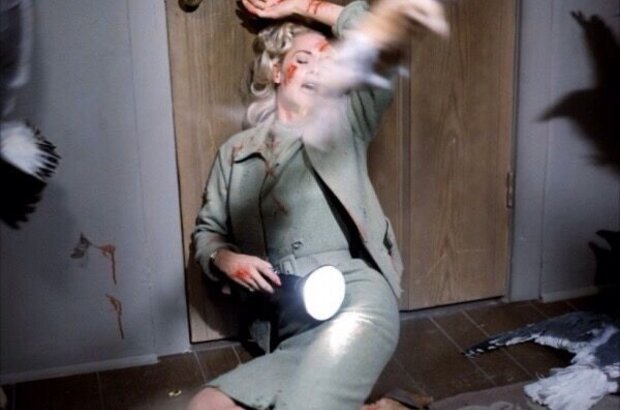The Birds (1963) - photo 1