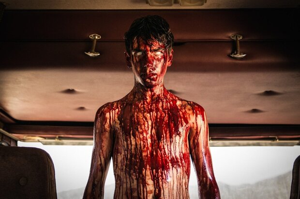 The Toybox (2018) - photo 5