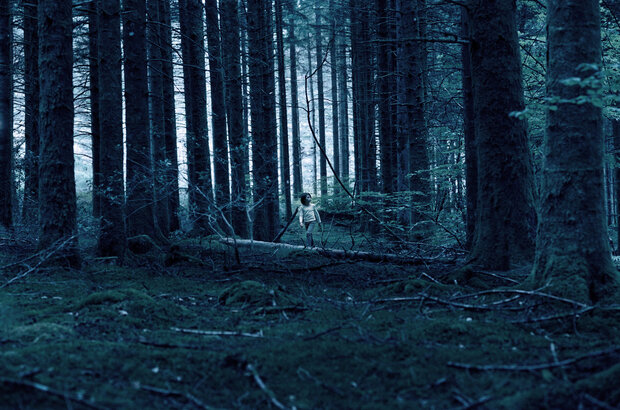 Ogre (2022) - photo 2