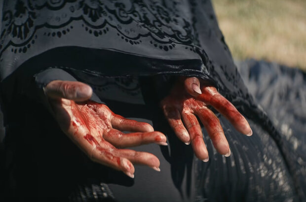 The Woman in the Yard (2025) - photo 4