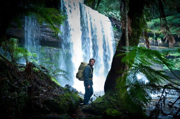 The Hunter (2011) - photo 2