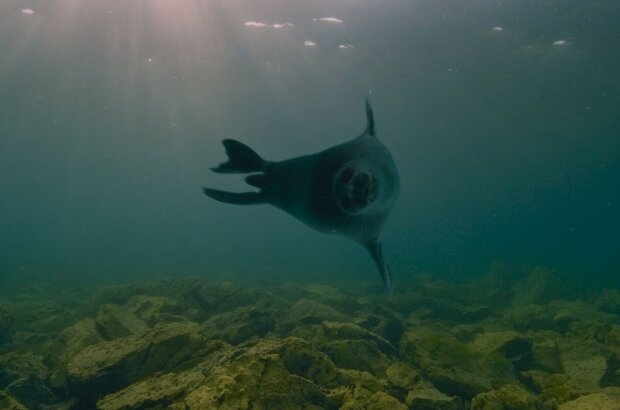 Baikal (2021) - photo 8