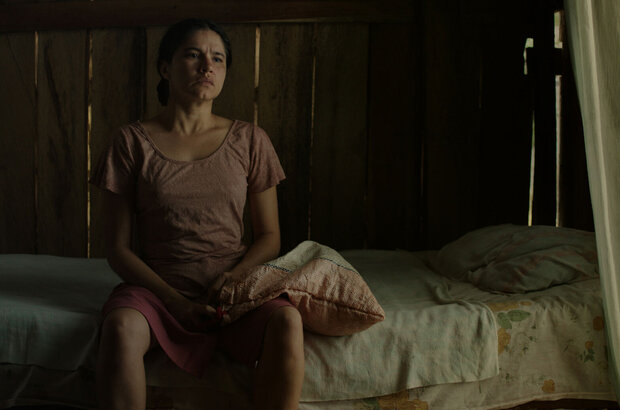 Oscuro animal (2016) - photo 1