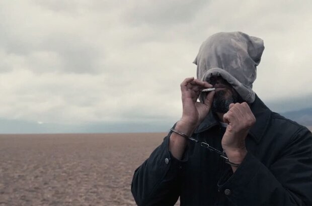 Дала қасқыры (2024) - photo 14