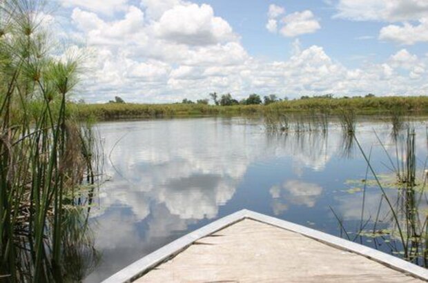African Adventure: Safari in the Okavango (2007) - photo 6