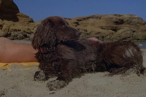 Mad Max (1979) - photo 5
