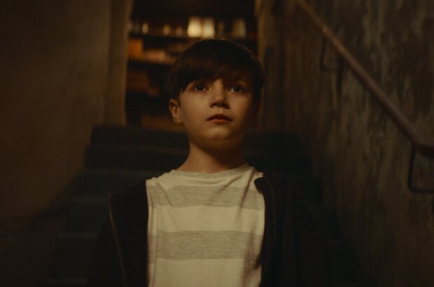 The Cellar (2021) - photo 4