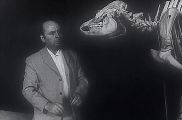 Ne samyy udachnyy den (1966) - photo 8