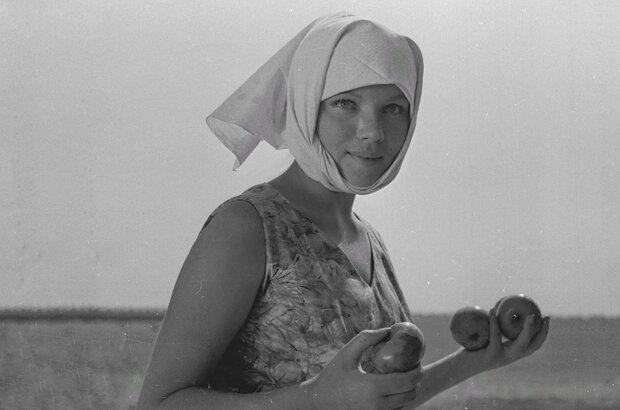 Autumn Weddings (1968) - photo 1
