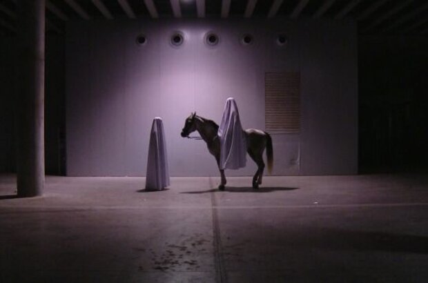 Finisterrae (2010) - photo 2