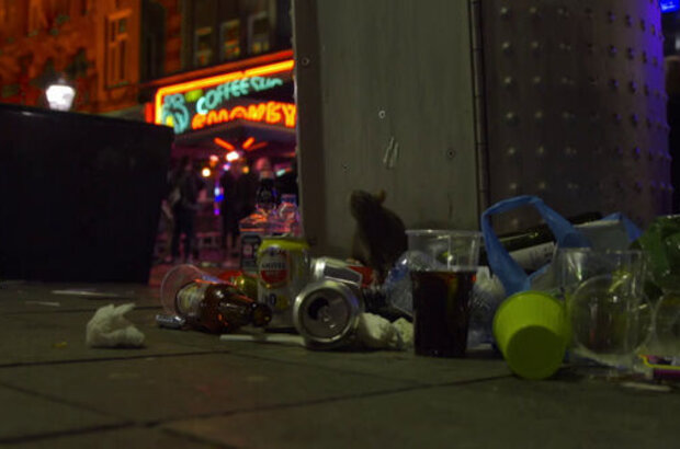 Wild Amsterdam (2018) - photo 9