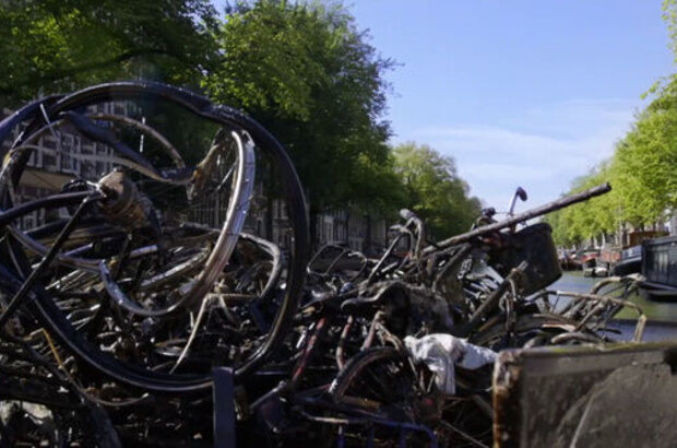 Wild Amsterdam (2018) - photo 11