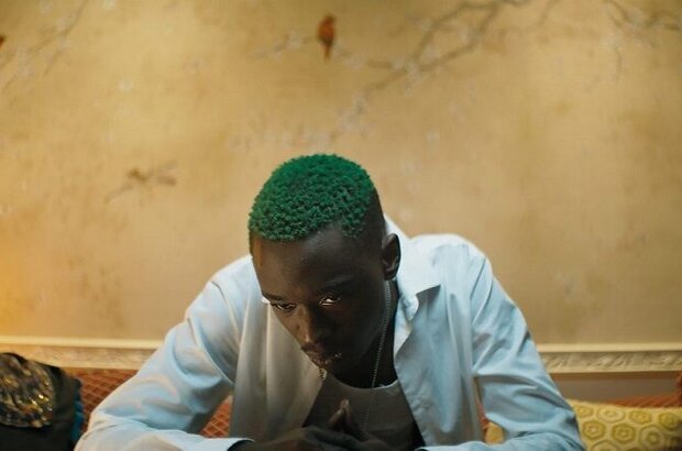 Native Son (2019) - photo 3