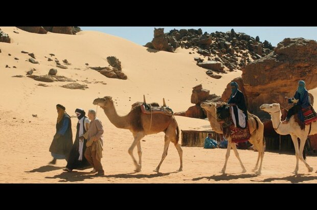 Zeus (2017) - photo 3