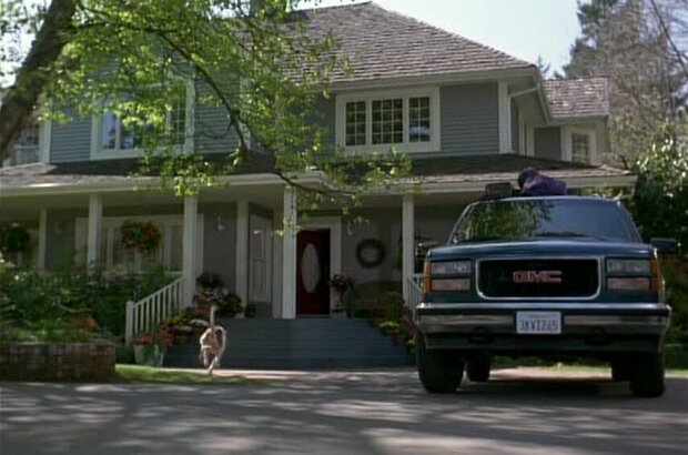 Homeward Bound II: Lost in San Francisco (1996) - photo 7