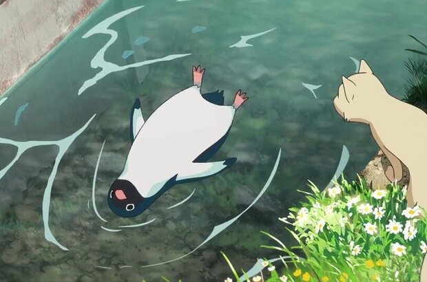 Penguin highway (2018) - photo 10