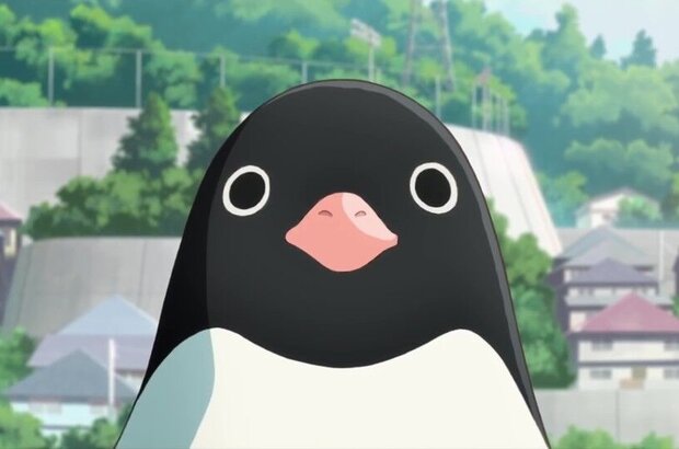 Penguin highway (2018) - photo 1