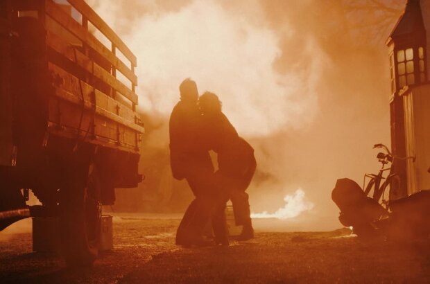 Gold Run (2022) - photo 12