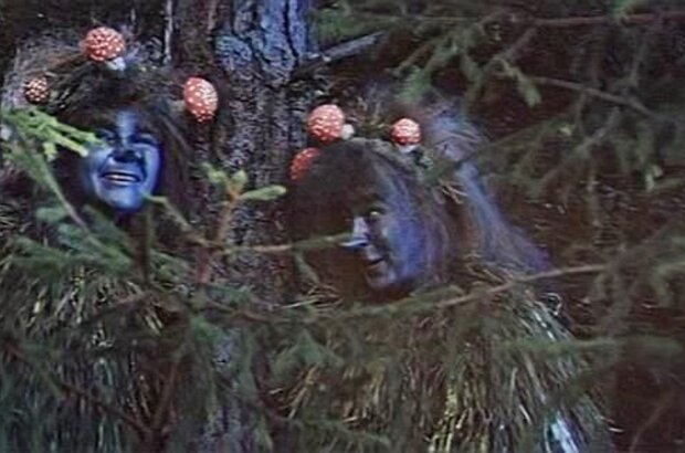 The Golden Horns (1972) - photo 7