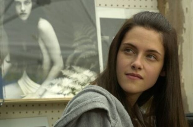 The Cake Eaters (2007) - photo 2