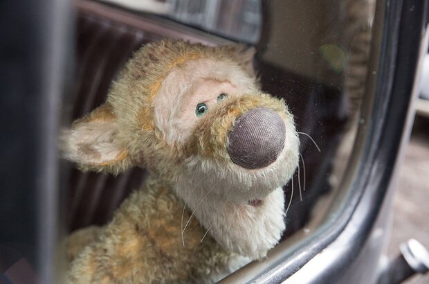 Christopher Robin (2018) - photo 4