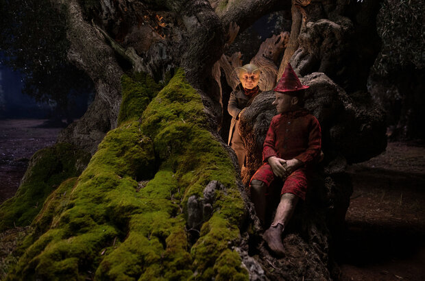 Pinocchio (2019) - photo 20