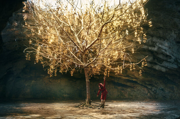 Pinocchio (2019) - photo 21