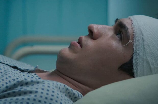 Zanox - Risks and Side Effects (2022) - photo 1