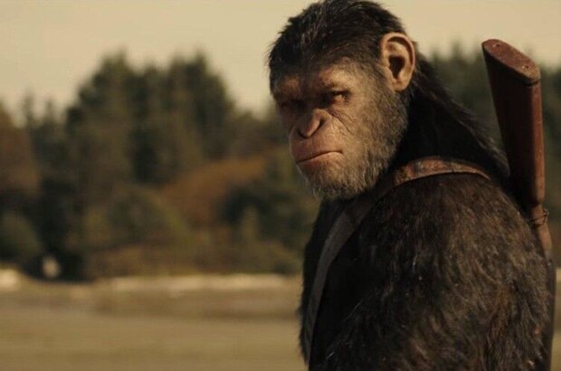 War for the Planet of the Apes (2017) - photo 7