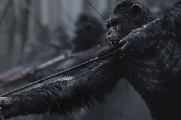 War for the Planet of the Apes (2017) - photo 4