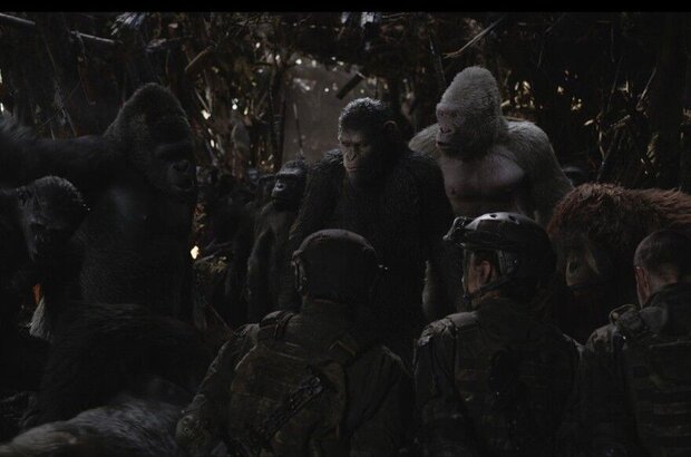 War for the Planet of the Apes (2017) - photo 8