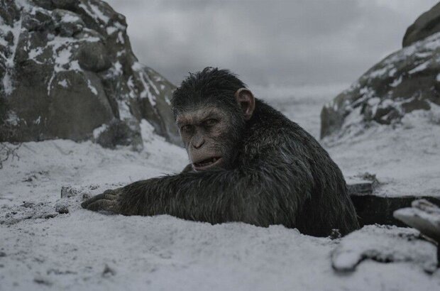 War for the Planet of the Apes (2017) - photo 11